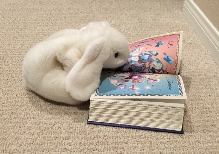 Marshmallow is studying the crystal of time.  