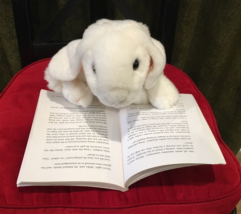 Marshmallow, intently reading Funville Adventures...