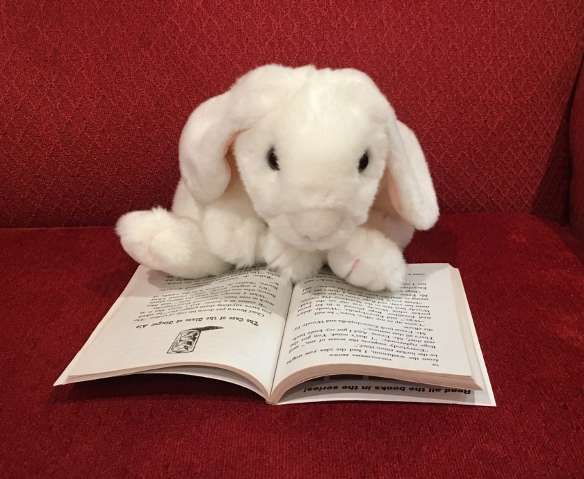 Marshmallow is reading her favorite Encyclopedia Brown story: The Case of the Glass of Ginger Ale.