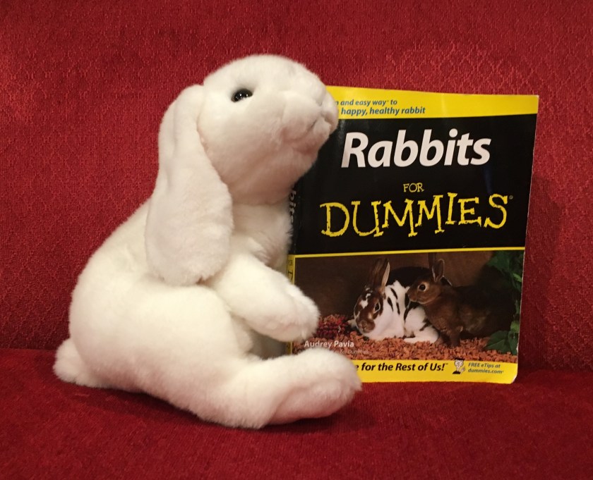 Marshmallow reviews Rabbits for Dummies by Audrey Pavia. 