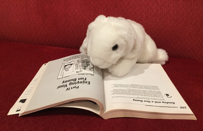 At the beginning of each part is a single comic. Marshmallow's favorite is the one starting Part IV. 