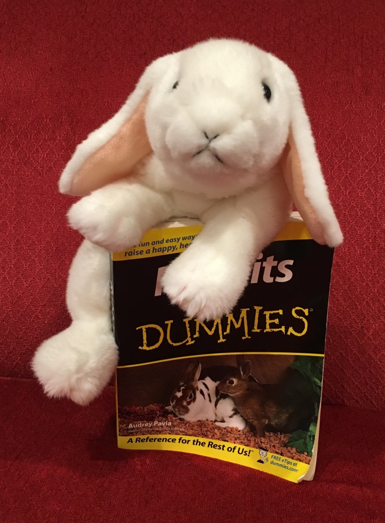 Marshmallow rates Rabbits for Dummies by Audrey Pavia 100%. 