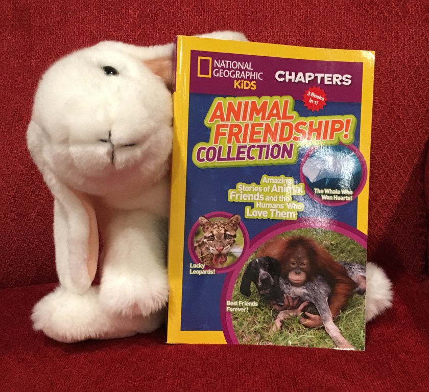 Marshmallow reviews Animal Friendship! Collection, Amazing Stories of Animal Friends and the Humans Who Love Them by National Geographic Kids.