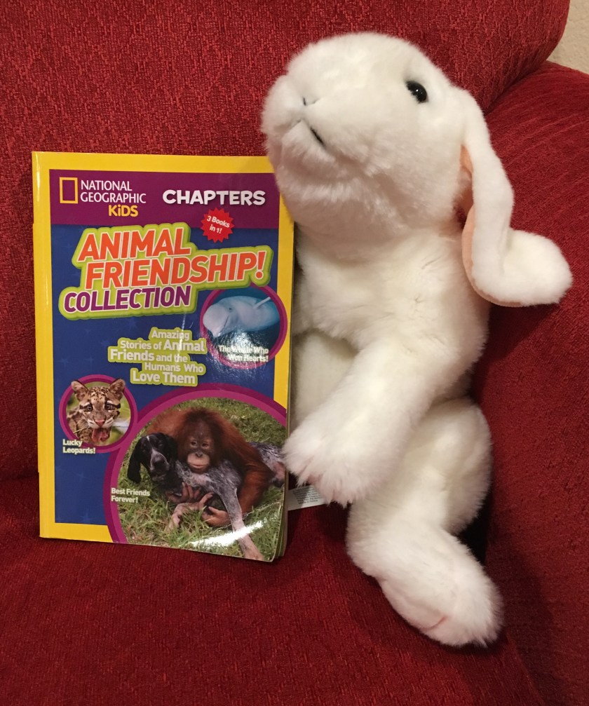 Marshmallow rates Animal Friendship! Collection, Amazing Stories of Animal Friends and the Humans Who Love Them by National Geographic Kids 100%. 