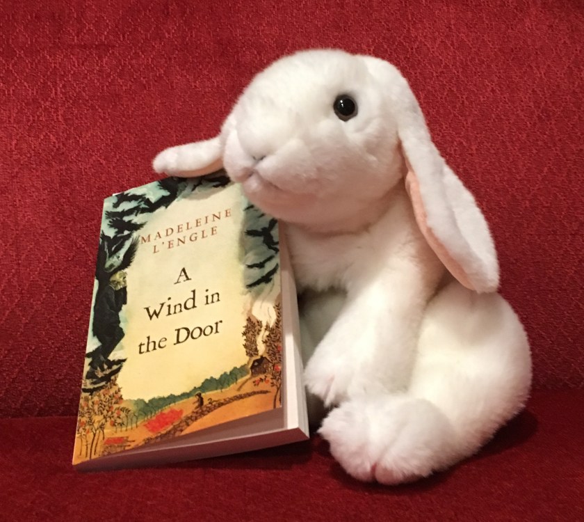 Marshmallow rates A Wind in the Door by Madeleine L’Engle 95%.