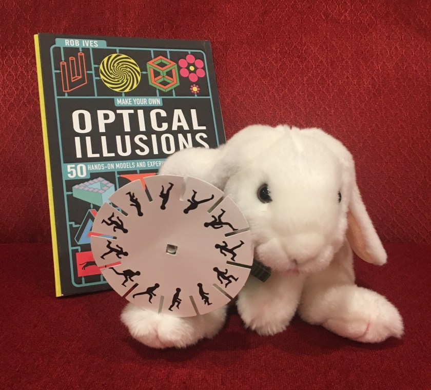 Marshmallow is proudly showing one of the optical illusion toys she made using the cutouts from Make Your Own Optical Illusions: 50 Hands-On Models and Experiment to Make and Do. 
