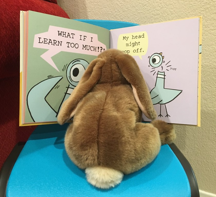 Caramel is looking at the page where the Pigeon is worried about learning too much.