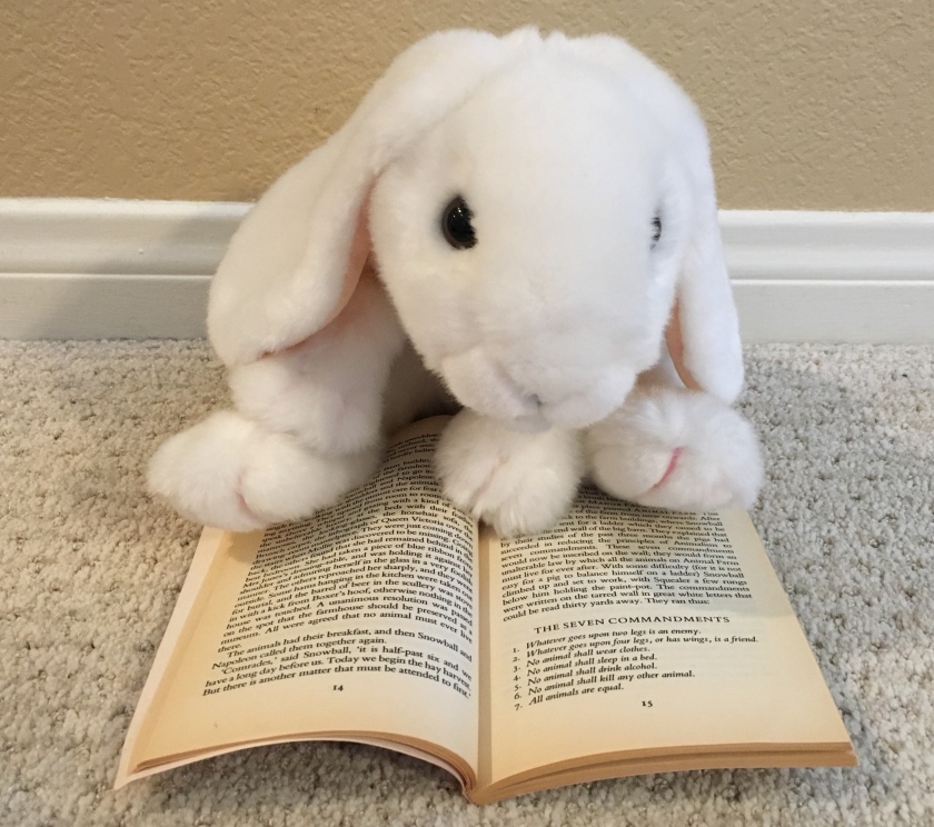 Marshmallow is pointing to the original seven commandments in George Orwell's Animal Farm. 
