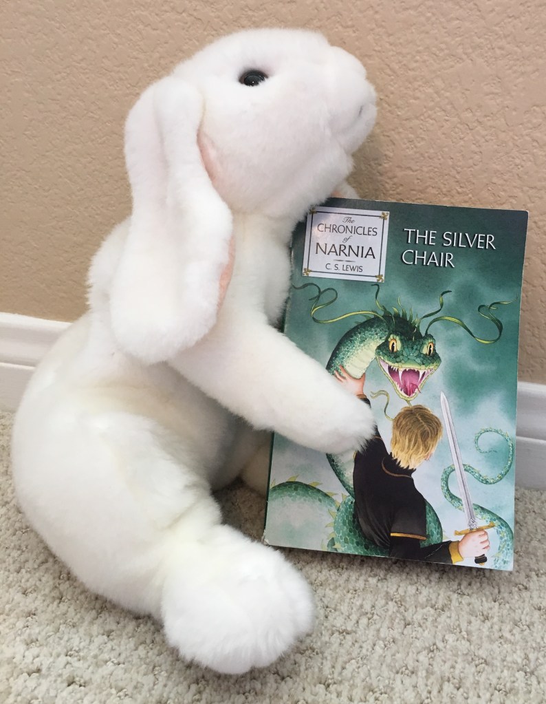 Marshmallow reviews The Silver Chair by C. S. Lewis. 