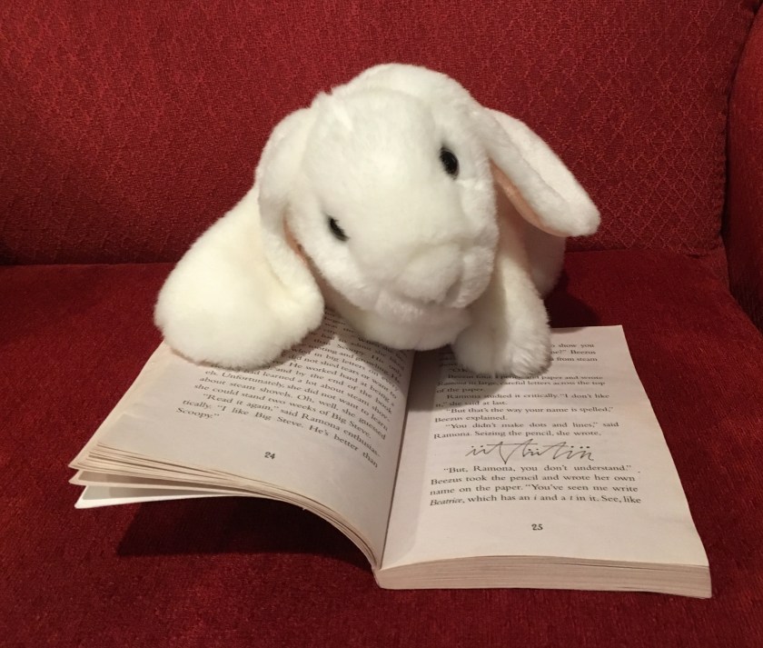 Marshmallow is pointing at the page where we see some of Ramona's scribbles. 