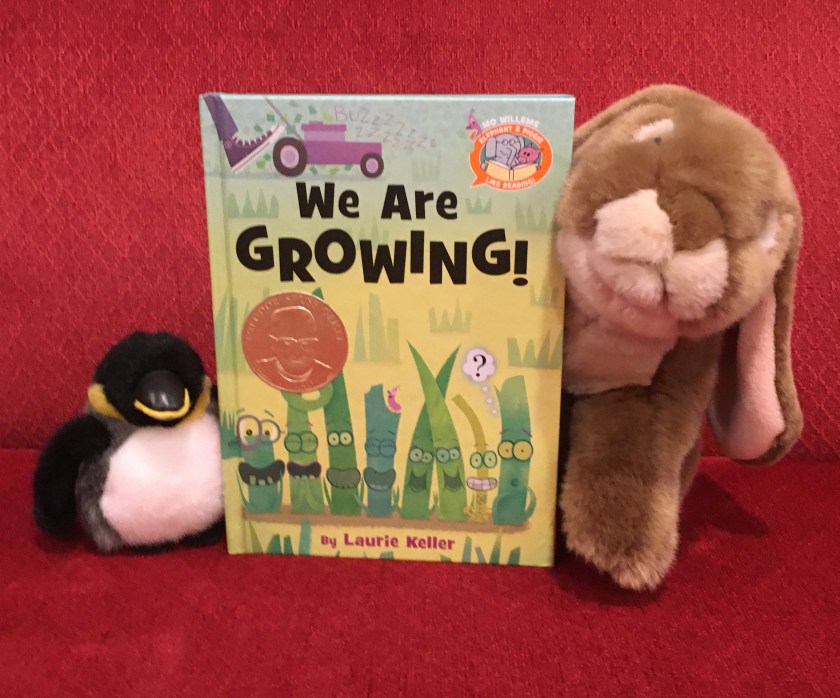 Caramel and his mysterious penguin friend really enjoyed reading We Are Growing! by Laurie Keller, and recommend it to all other little bunnies and penguins. 