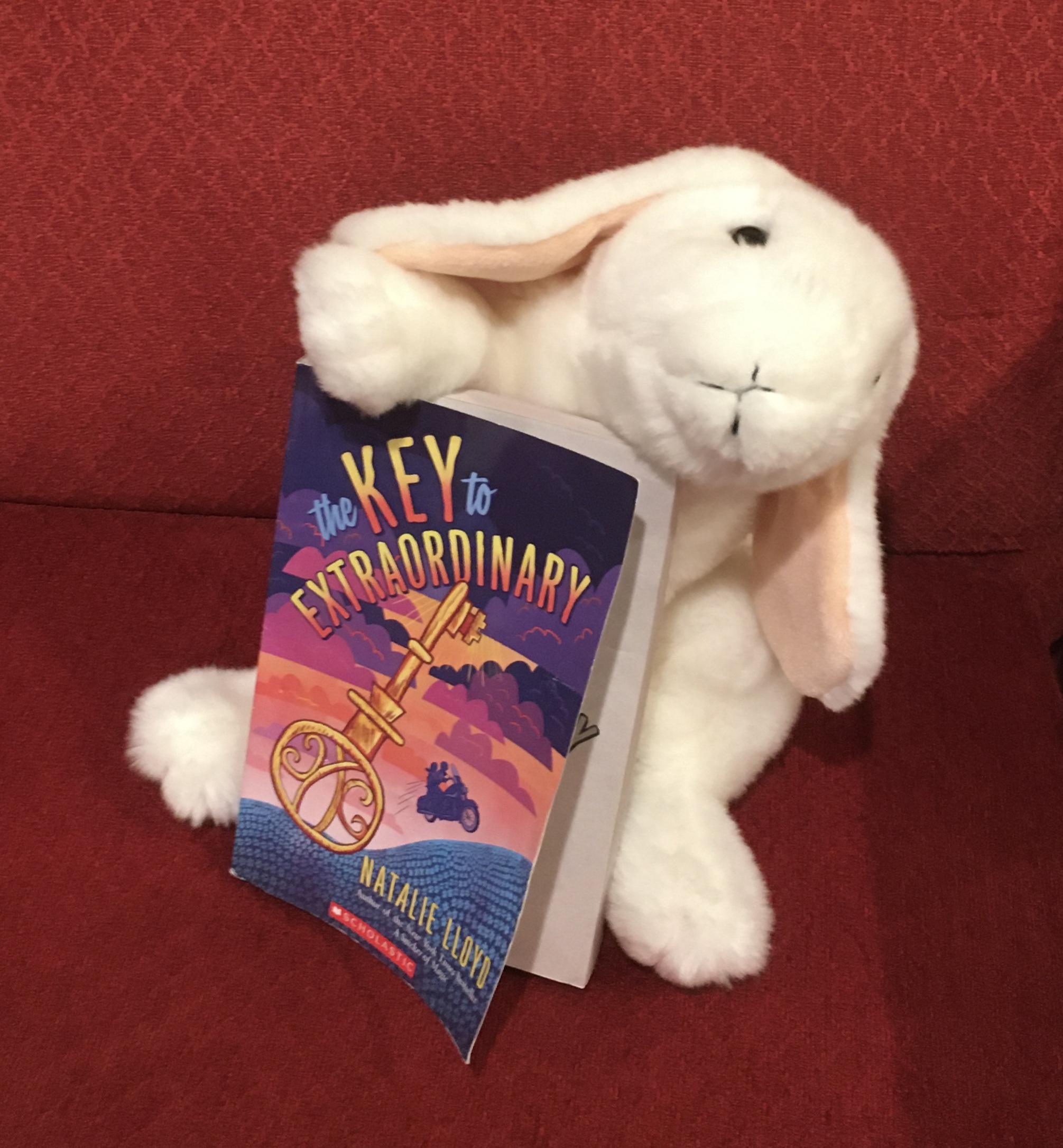 Marshmallow reviews The Key to Extraordinary by Natalie Lloyd BookBunnies