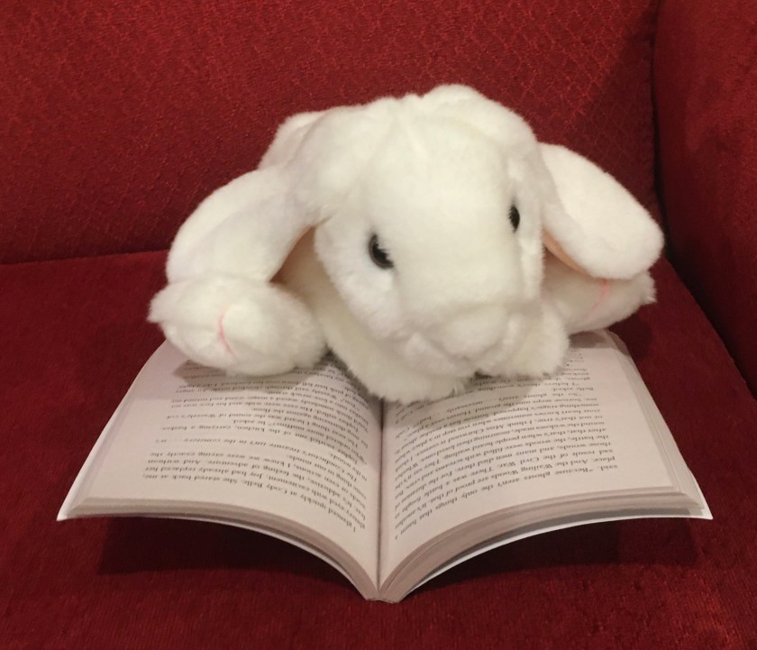 Marshmallow is reading The Key to Extraordinary by Natalie Lloyd.