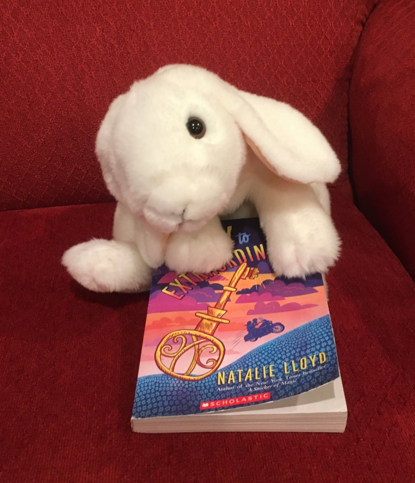 Marshmallow rates The Key to Extraordinary by Natalie Lloyd 95%.