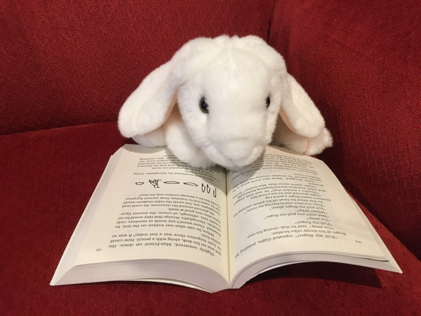 Marshmallow is reading You Have To Stop This by Pseudonymous Bosch (Book 5 of the Secret Series).