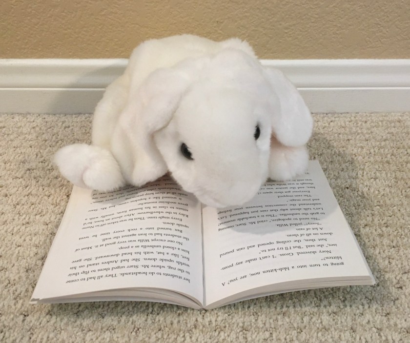 Marshmallow is reading Upside-Down Magic by Sarah Mlynowski, Lauren Myracle, and Emily Jenkins.