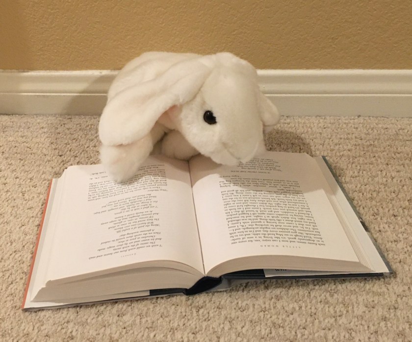 Marshmallow is reading  Little Women by Louisa May Alcott.