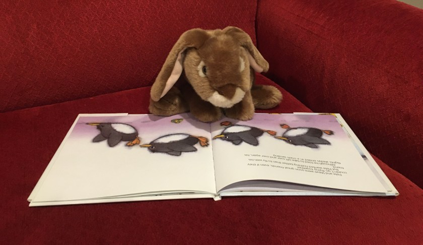 Caramel is looking at the page where Penguin Pete is trying to fly, in Penguin Pete by Marcus Pfister. 