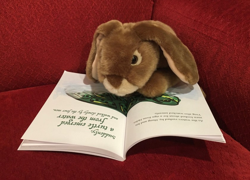 Caramel is looking at the page where the magic turtle emerges from the water in Ying and the Magic Turtle by Sue Looney. 
