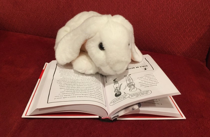 Marshmallow is reading The Confidence Code for Girls by Katty Kay and Claire Shipman.