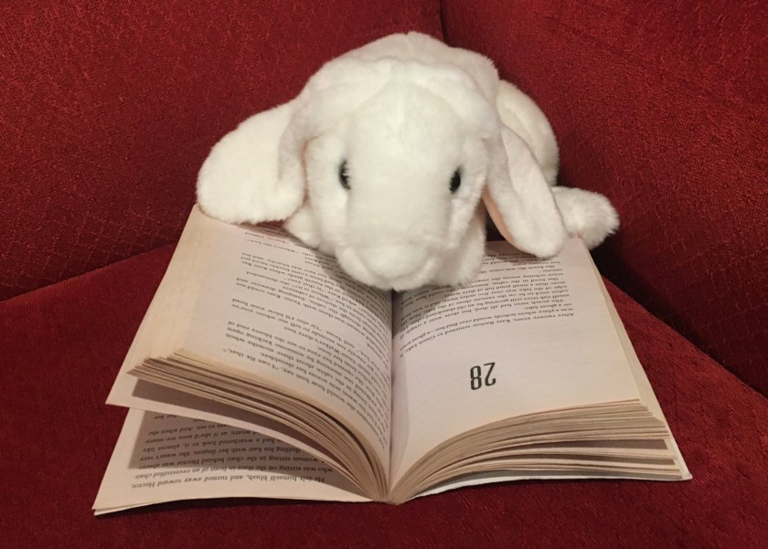Marshmallow is reading Holes, by Louis Sachar. 