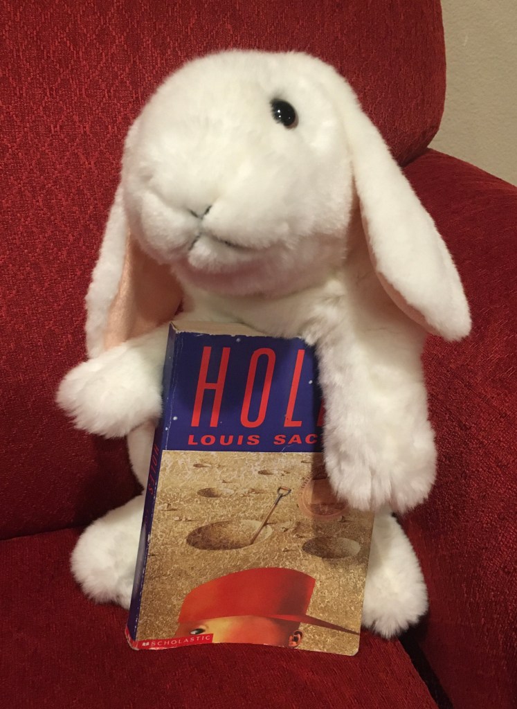 Marshmallow rates Holes, by Louis Sachar, 100%. 