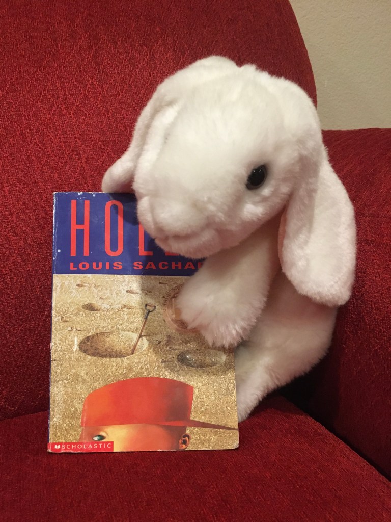 Marshmallow reviews Holes, by Louis Sachar. 