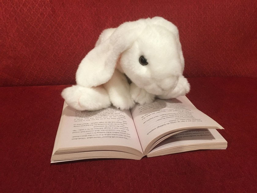 Marshmallow is reading Belly Up by Stuart Gibbs.