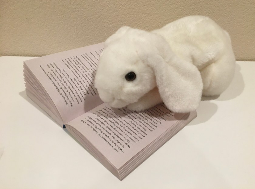 Marshmallow is reading Panda-monium by Stuart Gibbs, the fourth book in the FunJungle series.