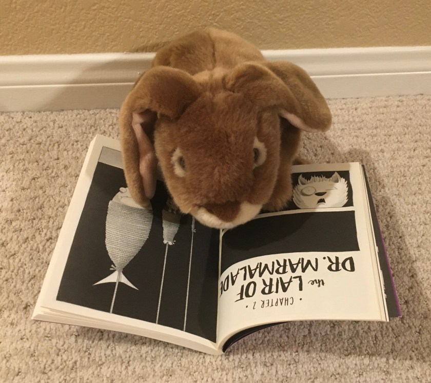 Caramel is reading The Bad Guys in The Furball Strikes Back by Aaron Blabey (Bad Guys #3).