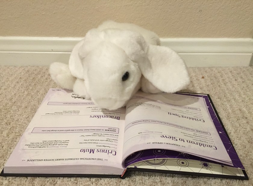 Marshmallow is reading her favorite spells in The Unofficial Ultimate Harry Potter Spellbook: A Complete Guide to Every Spell in the Wizarding World, by Media Lab Books.