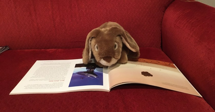 Caramel is reading Cars on Mars: Roving the Red Planet by Alexandra Siy.