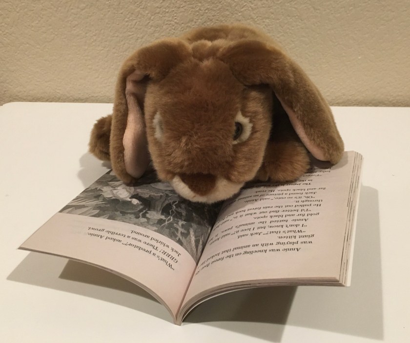 Caramel is reading Afternoon on the Amazon (Magic Tree House #6) by Mary Pope Osborne.