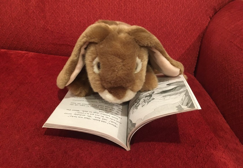 Caramel is reading Sunset of the Sabertooth (Magic Tree House #7) by Mary Pope Osborne.