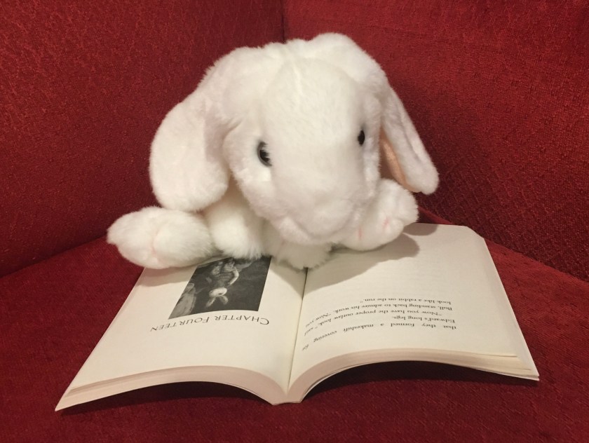 Marshmallow is reading the part of Kate DiCamillo's The Miraculous Journey of Edward Tulane where Edward finally has "the proper outlaw look"--now he finally looks "like a rabbit on the run". 