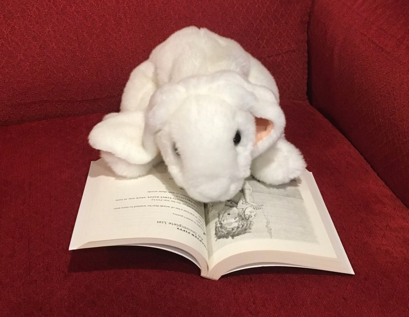 Marshmallow is reading Flora and Ulysses by Kate DiCamillo.
