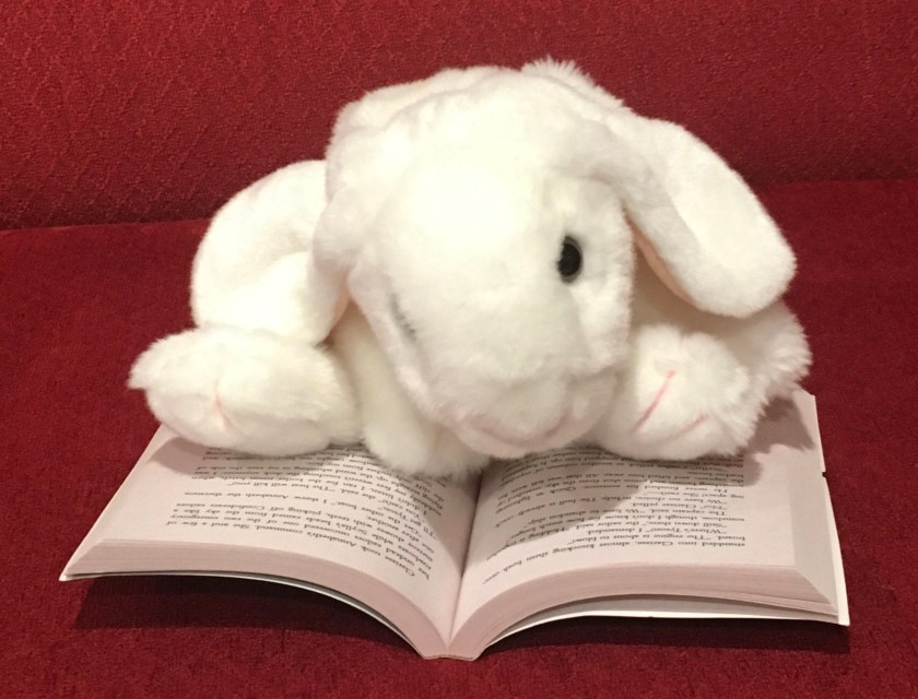 Marshmallow is reading Percy Jackson and the Olympians: The Sea of Monsters, by Rick Riordan.