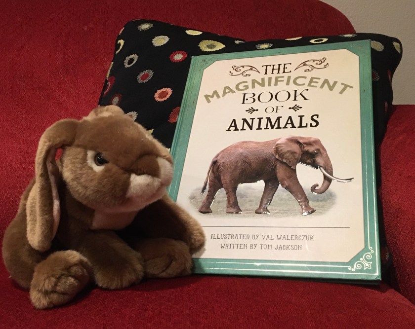Caramel reviews The Magnificent Book of Animals, illustrated by Val Walerczuk and written by Tom Jackson.