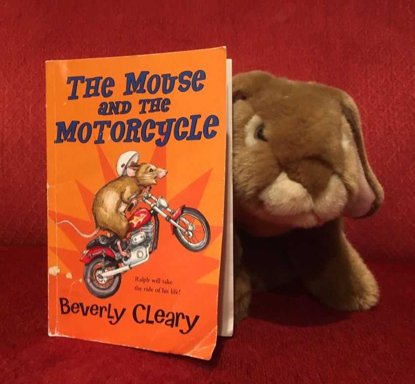 Caramel enjoyed reading The Mouse and the Motorcycle by Beverly Cleary, and recommends it to all other young bunnies. 