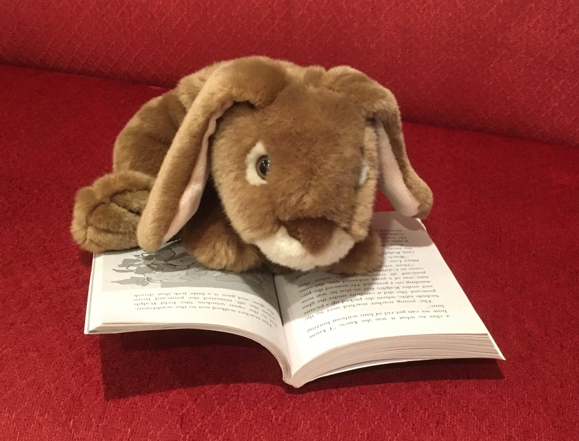 Caramel is reading The Mouse and the Motorcycle by Beverly Cleary.