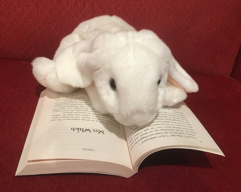 Marshmallow is reading A Wrinkle in Time by Madeleine L'Engle.