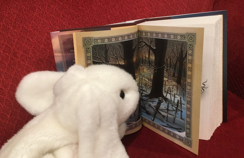 Marshmallow is looking at all the Excaliburs in One True King, the sixth and last book of Soman Chainani's School For Good and Evil series. 