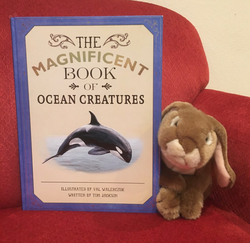 Caramel reviews The Magnificent Book of Ocean Creatures by Val Walerczuk and Tom Jackson.