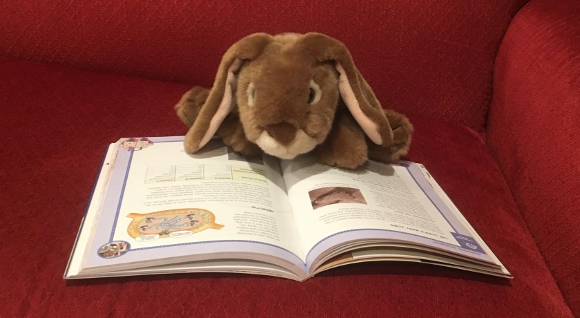 Caramel is reading about the liver in Survive! Inside the Human Body: The Circulatory System by Hyun-Dong Han