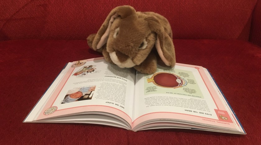 Caramel is reading about why we sleep in Survive! Inside the Human Body: The Nervous System by Hyun-Dong Han.