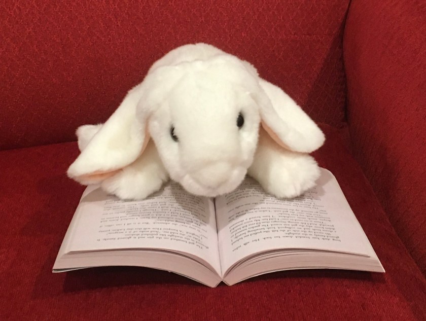 Marshmallow is reading Percy Jackson and the Olympians: The Titan's Curse (Book 3 of the Percy Jackson Series) by Rick Riordan.