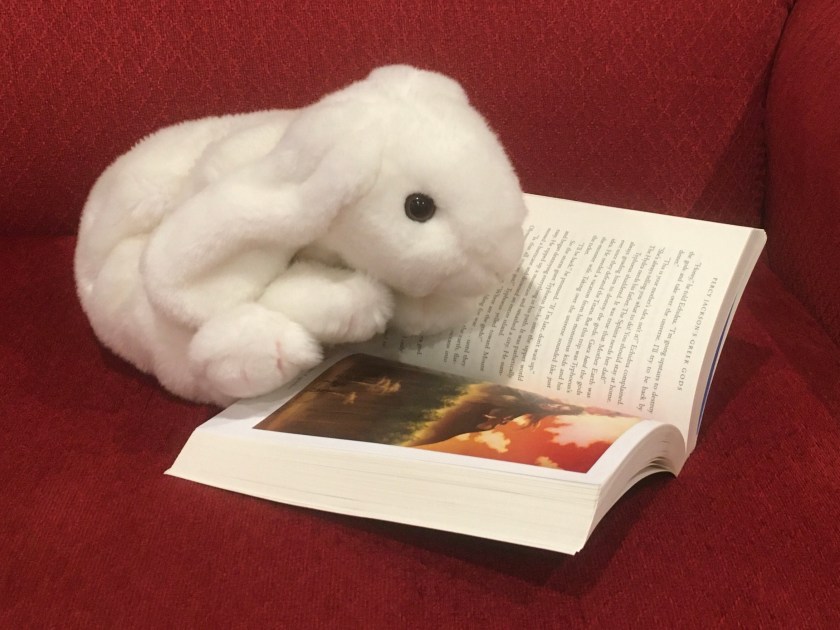 Marshmallow is reading Percy Jackson's Greek Gods by Rick Riordan. She is at the beginning of the full-color insert of artwork by John Rocco. 