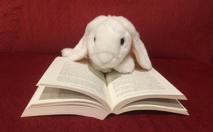 Marshmallow is reading Percy Jackson’s Greek Heroes by Rick Riordan.