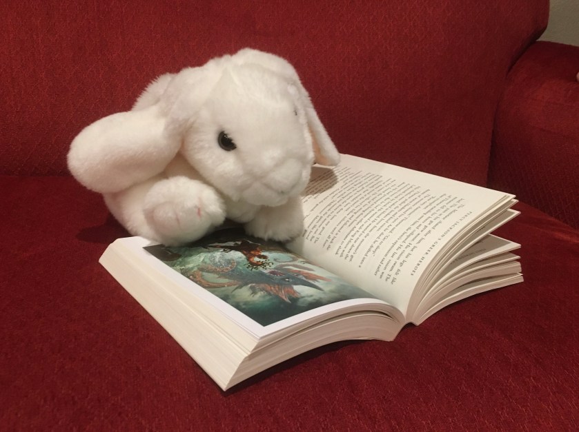 Marshmallow is looking at the colorful insert in Percy Jackson’s Greek Heroes by Rick Riordan. The first page displays artwork by John Rocco of Perseus defeating a monster. 