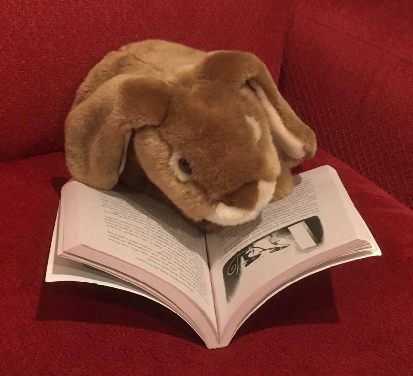 Caramel is reading Ragweed by Avi and looking at the illustrations by Brian Floca. 